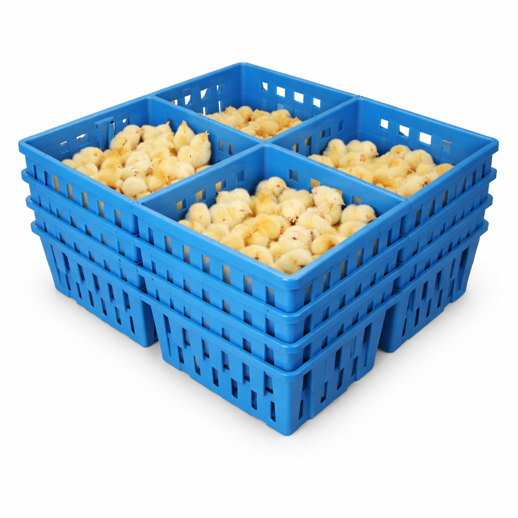 Chick Transport Boxes Fixed Partition